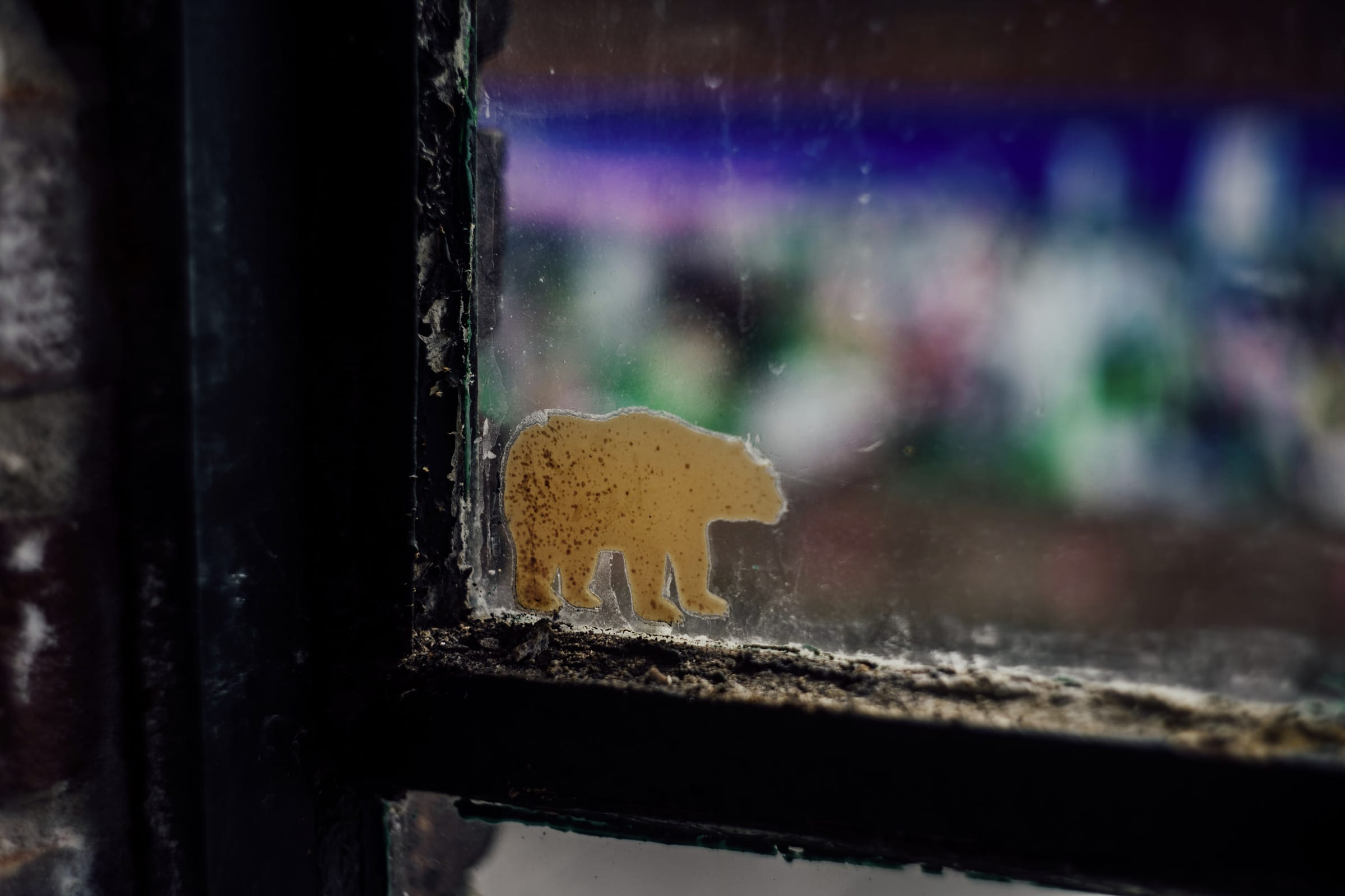 Untitled photograph