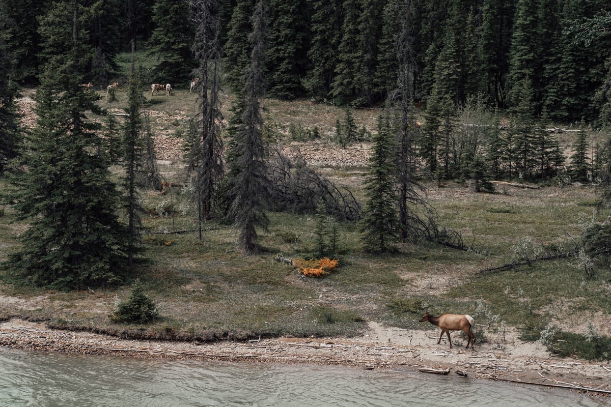 Untitled photograph