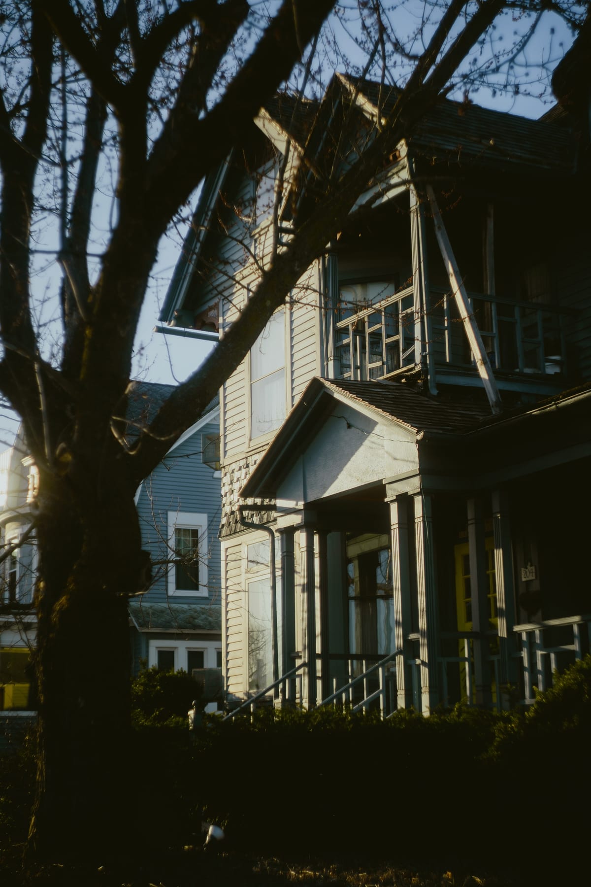 Untitled photograph