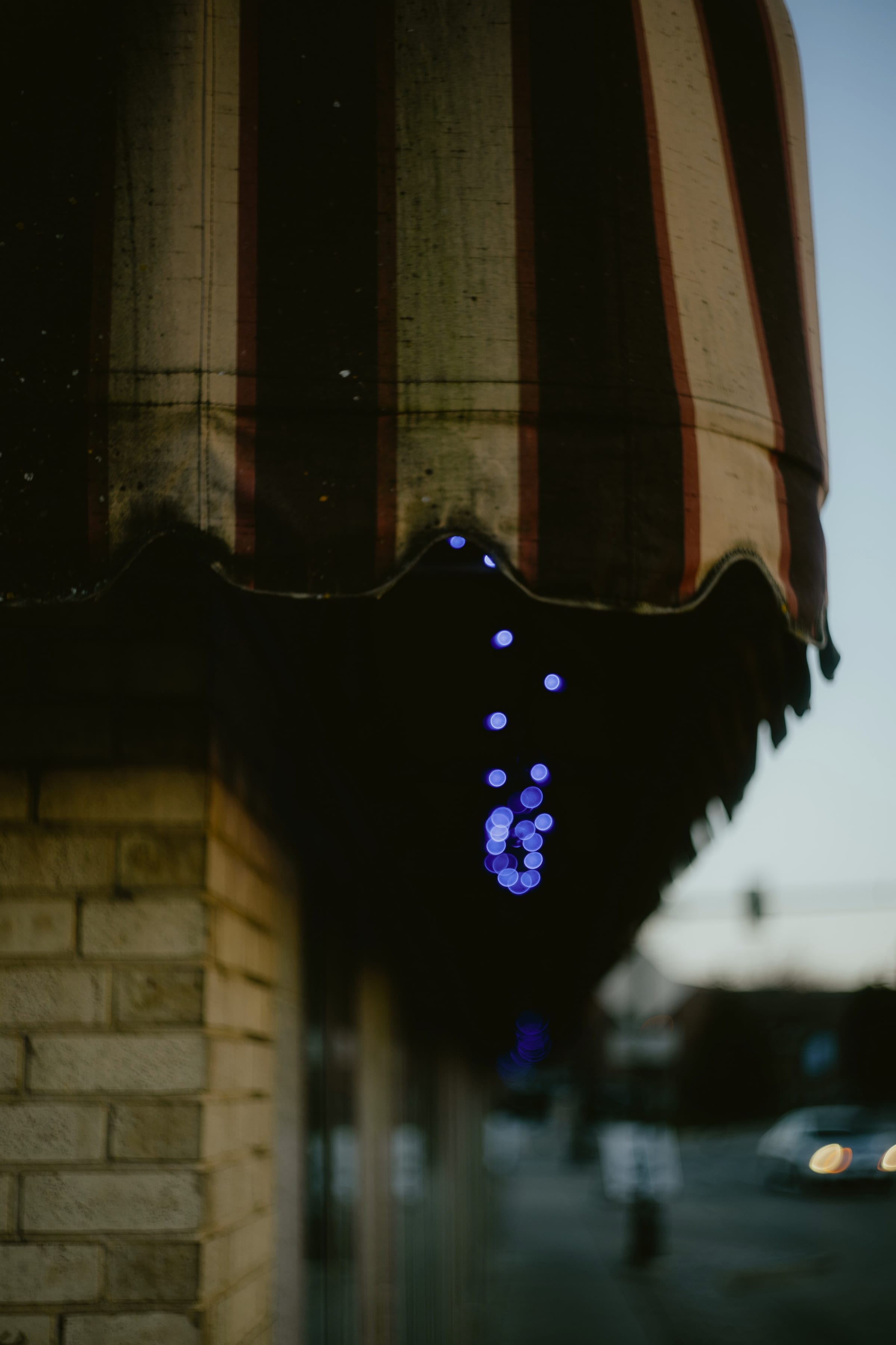 Untitled photograph
