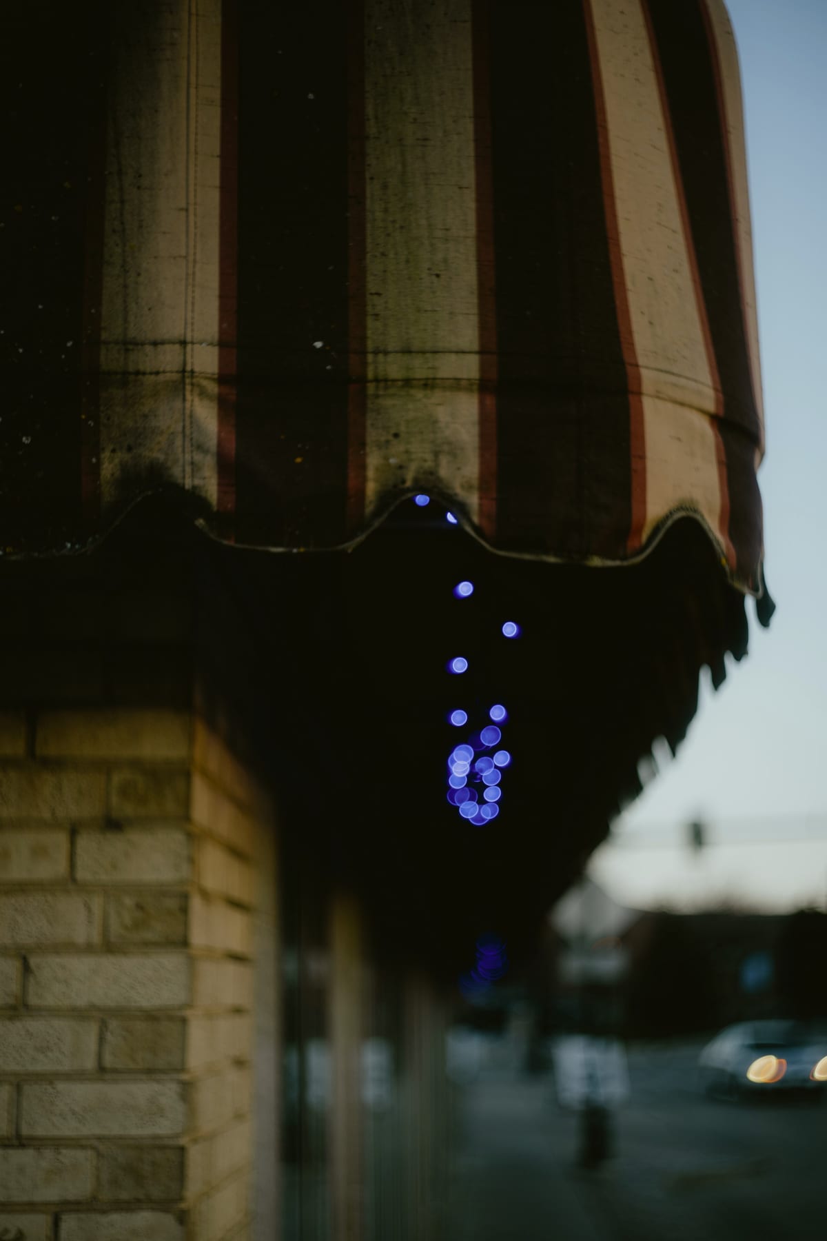 Untitled photograph