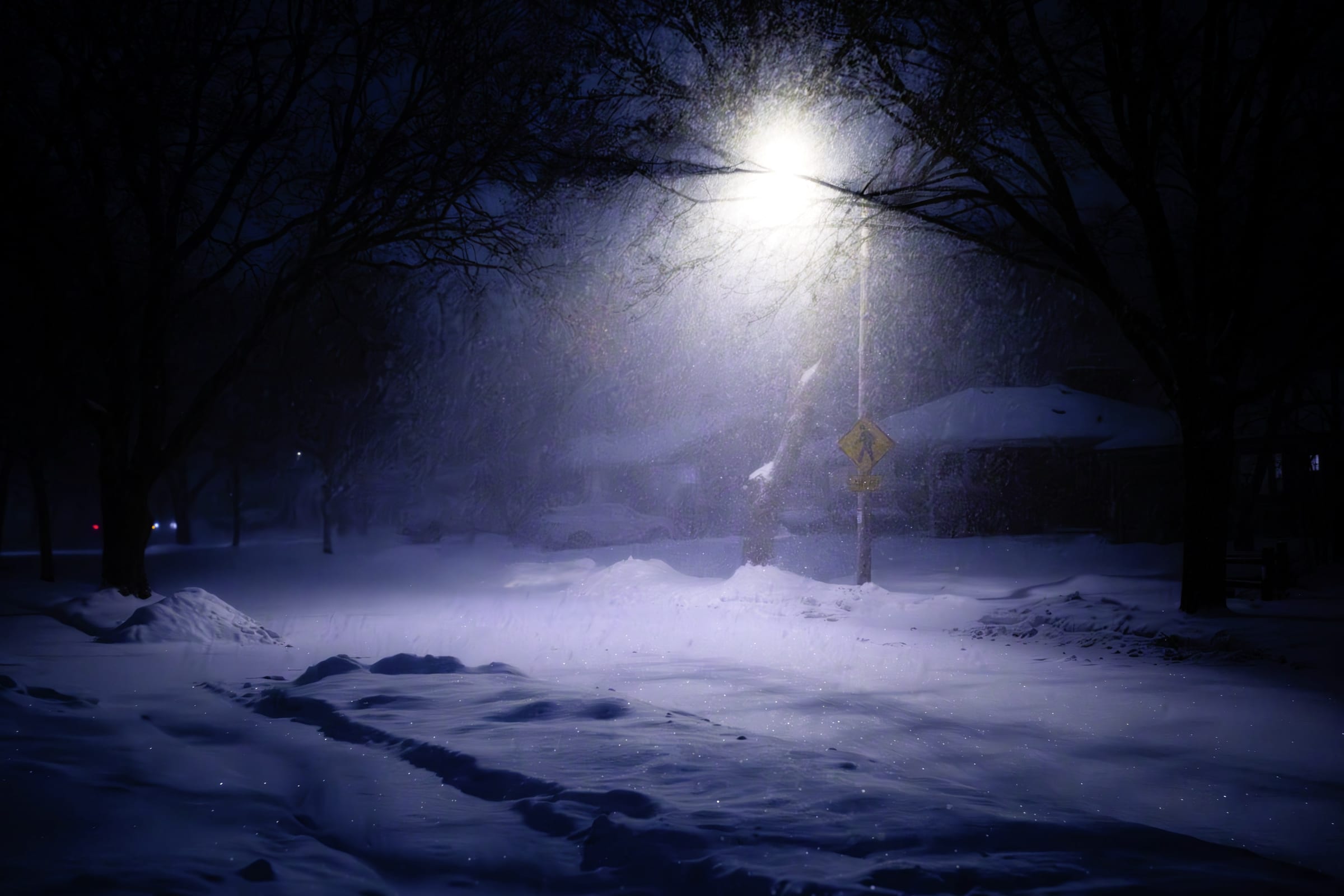 Snowy Night
