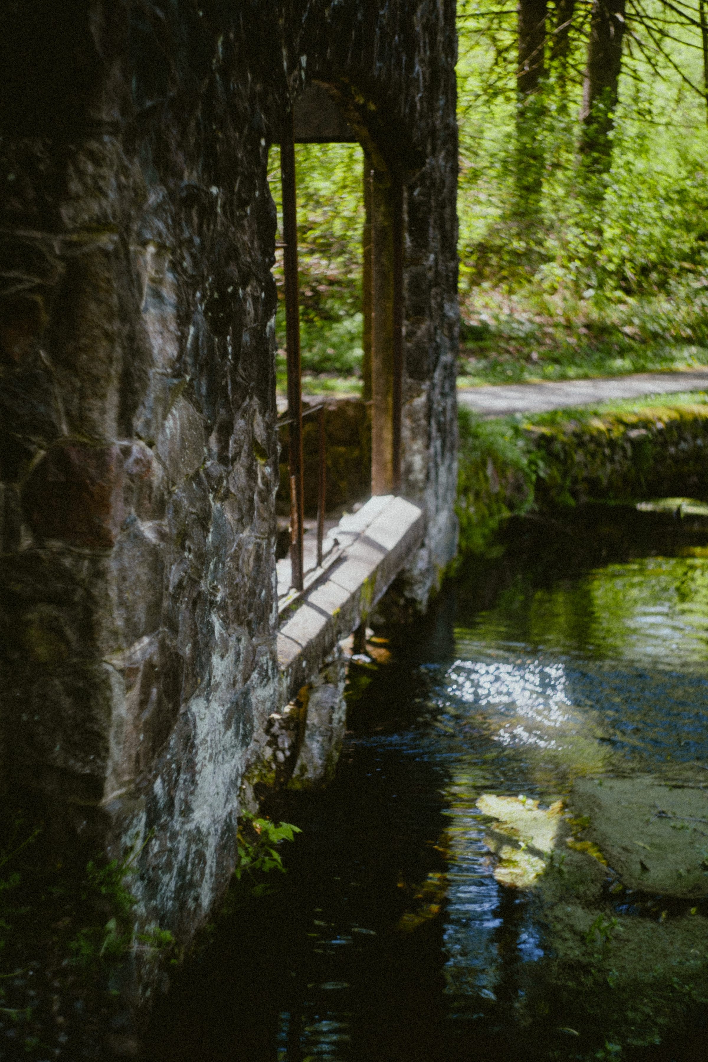 Untitled photograph