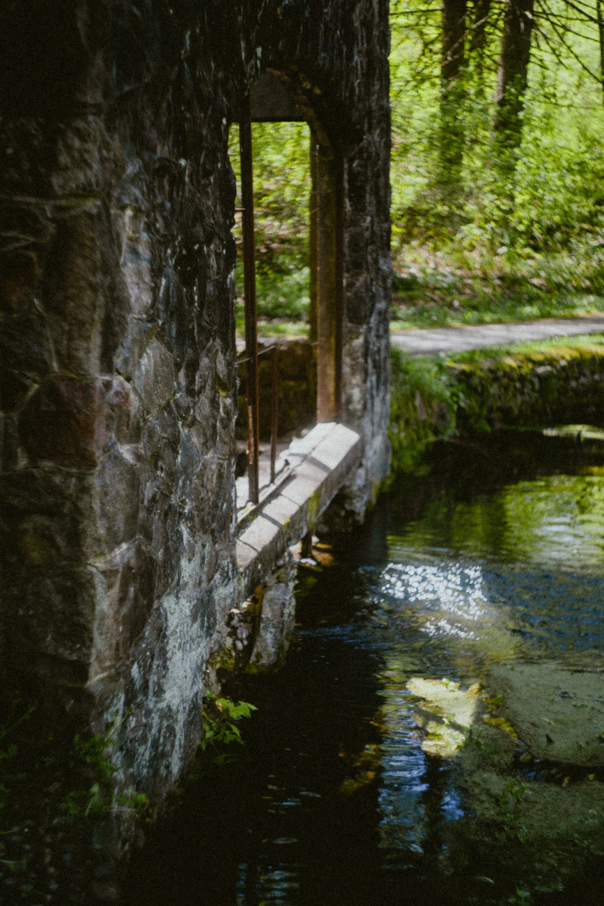 Untitled photograph