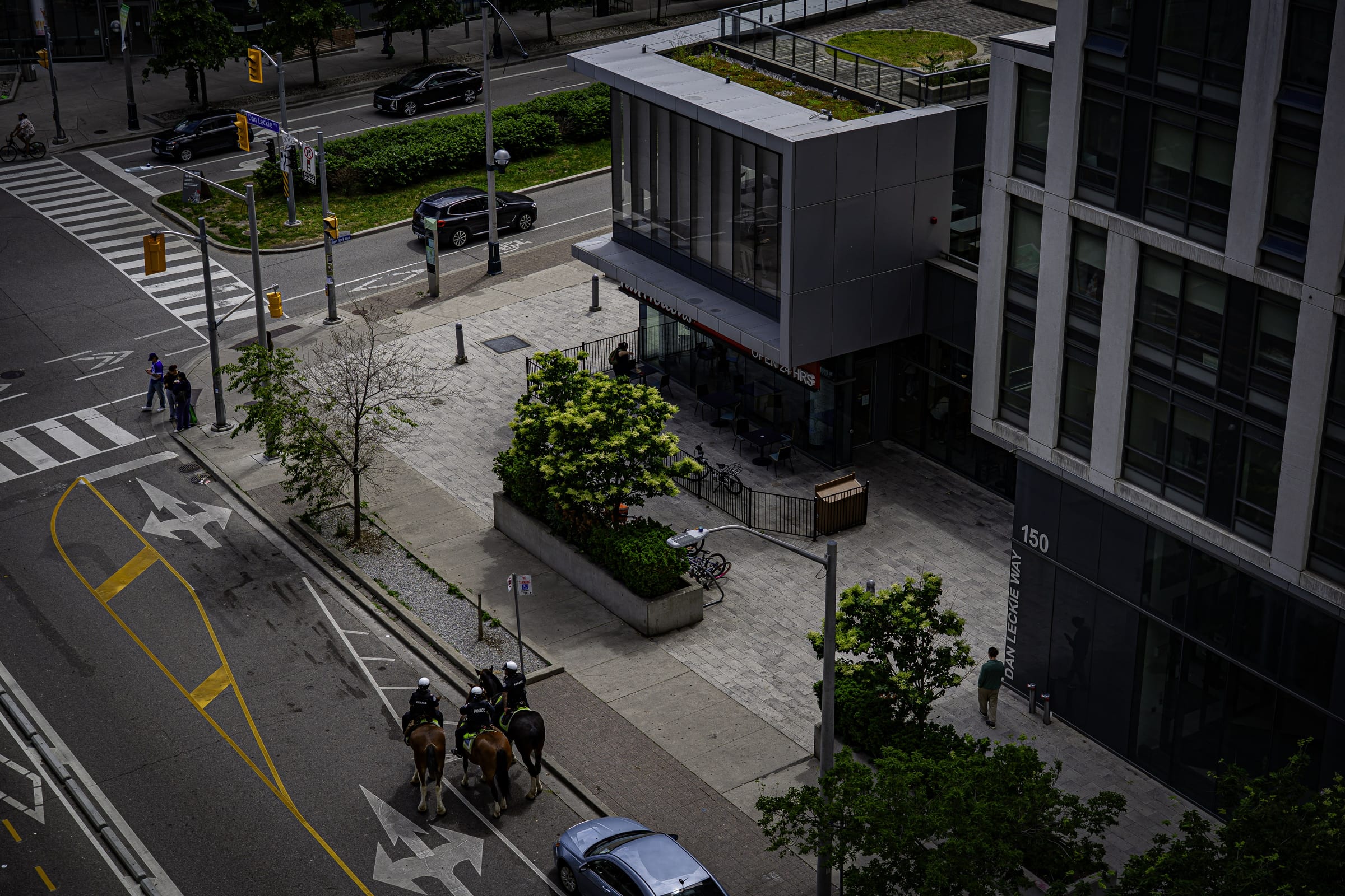 Fort York Boulevard Tim Horton's