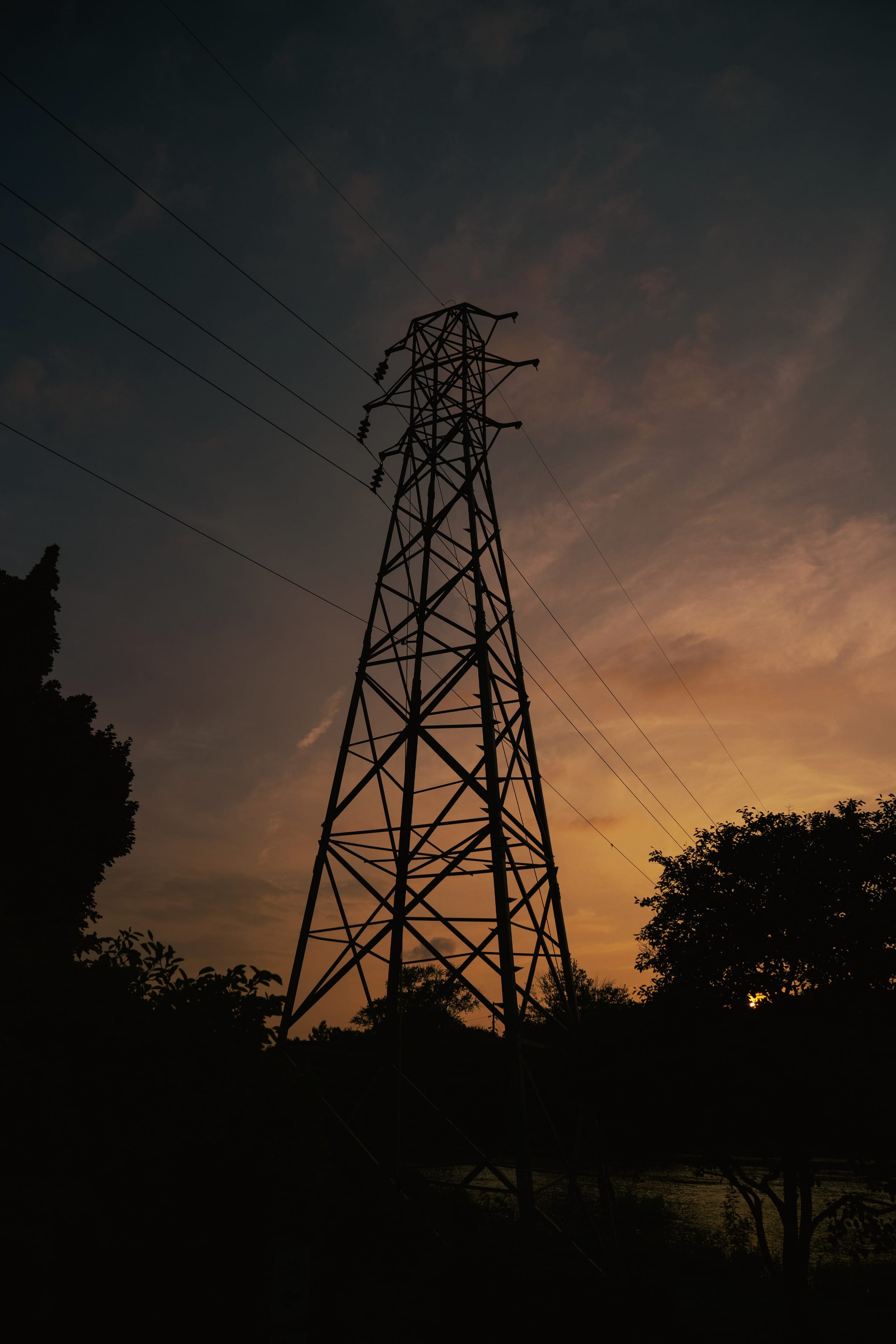 Untitled photograph