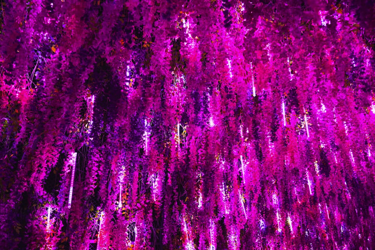 Pink Neon Lights