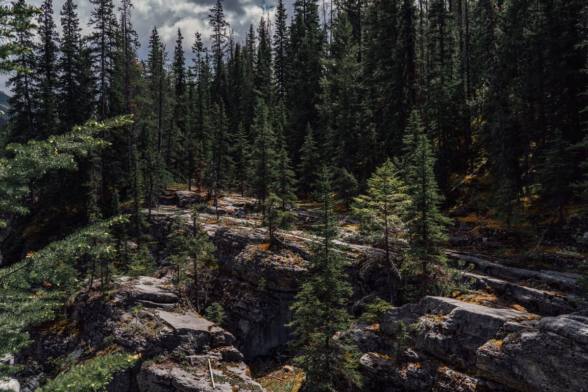 Untitled photograph