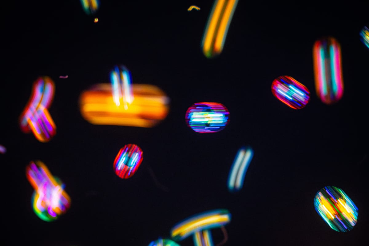 Untitled photograph