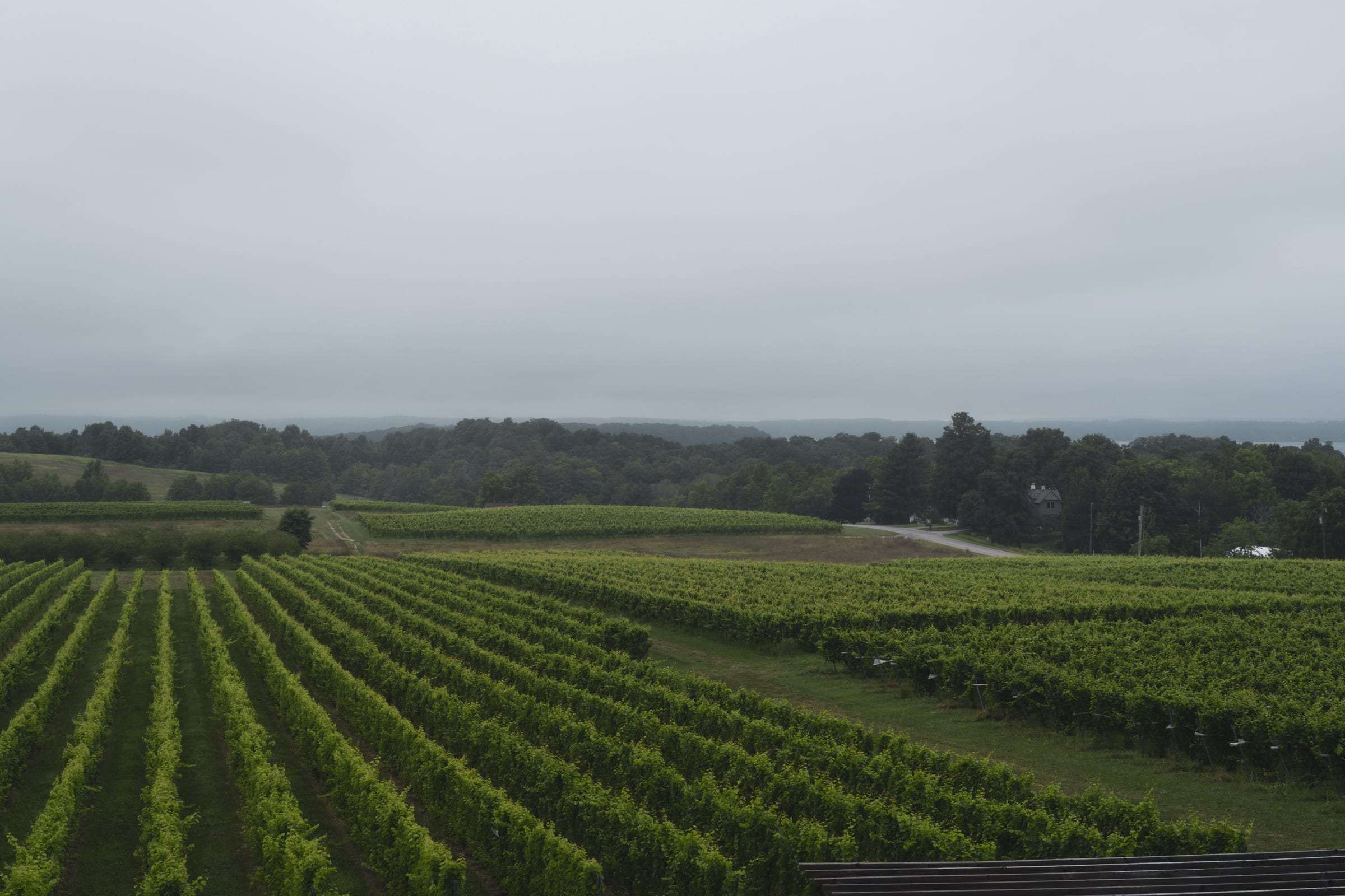 Vineyard