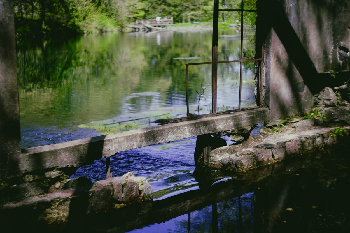 Untitled photograph