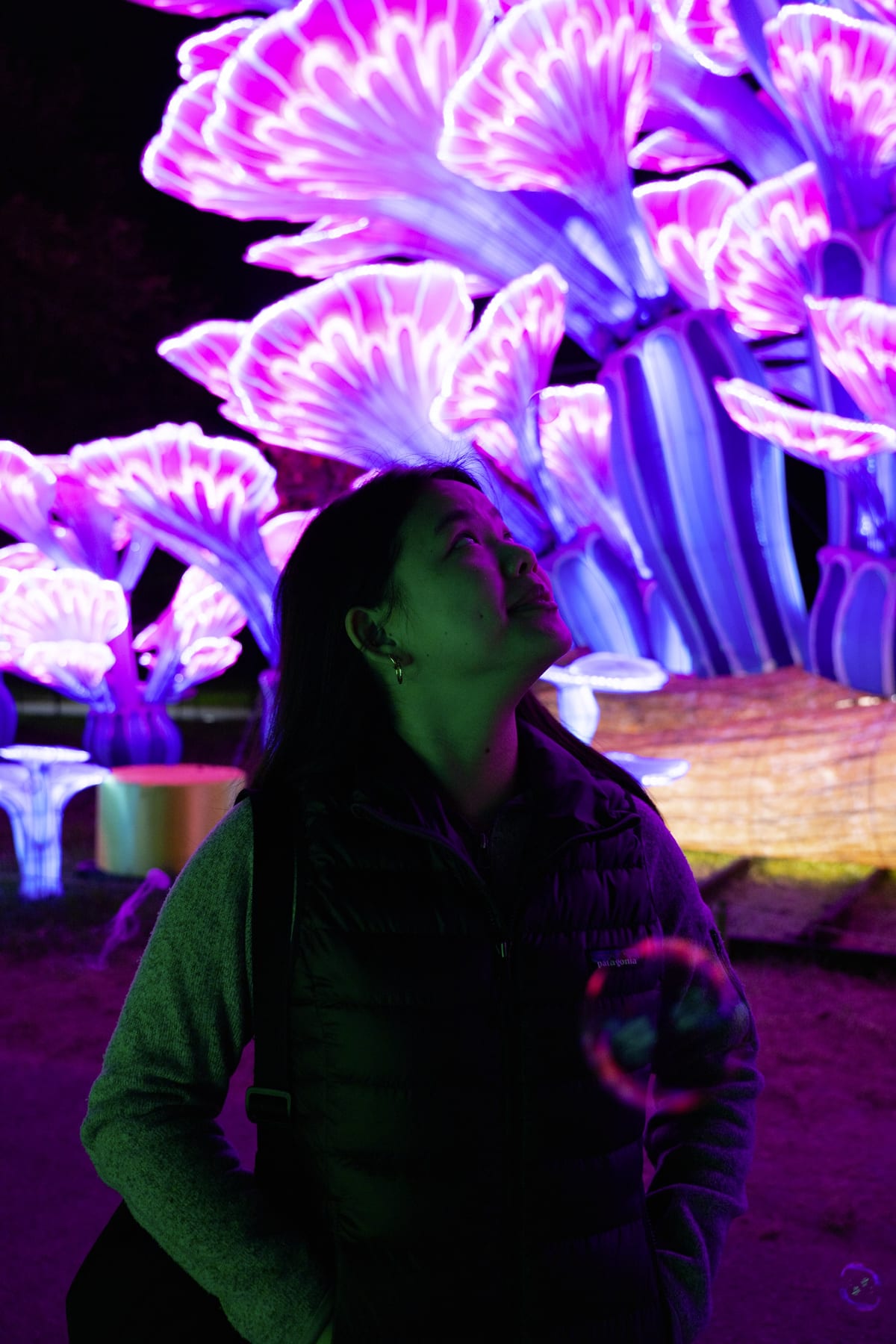 Admiring the China Lights