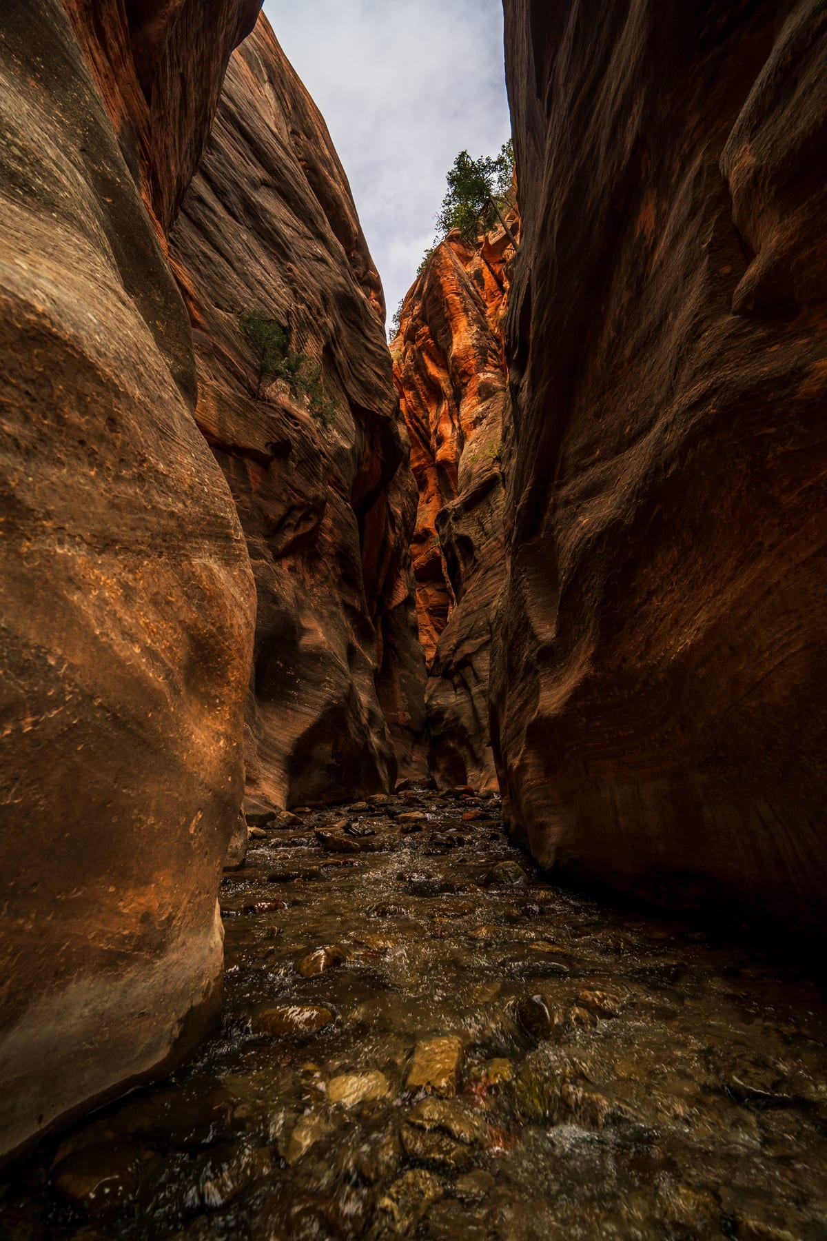 Kanarra Falls Hike