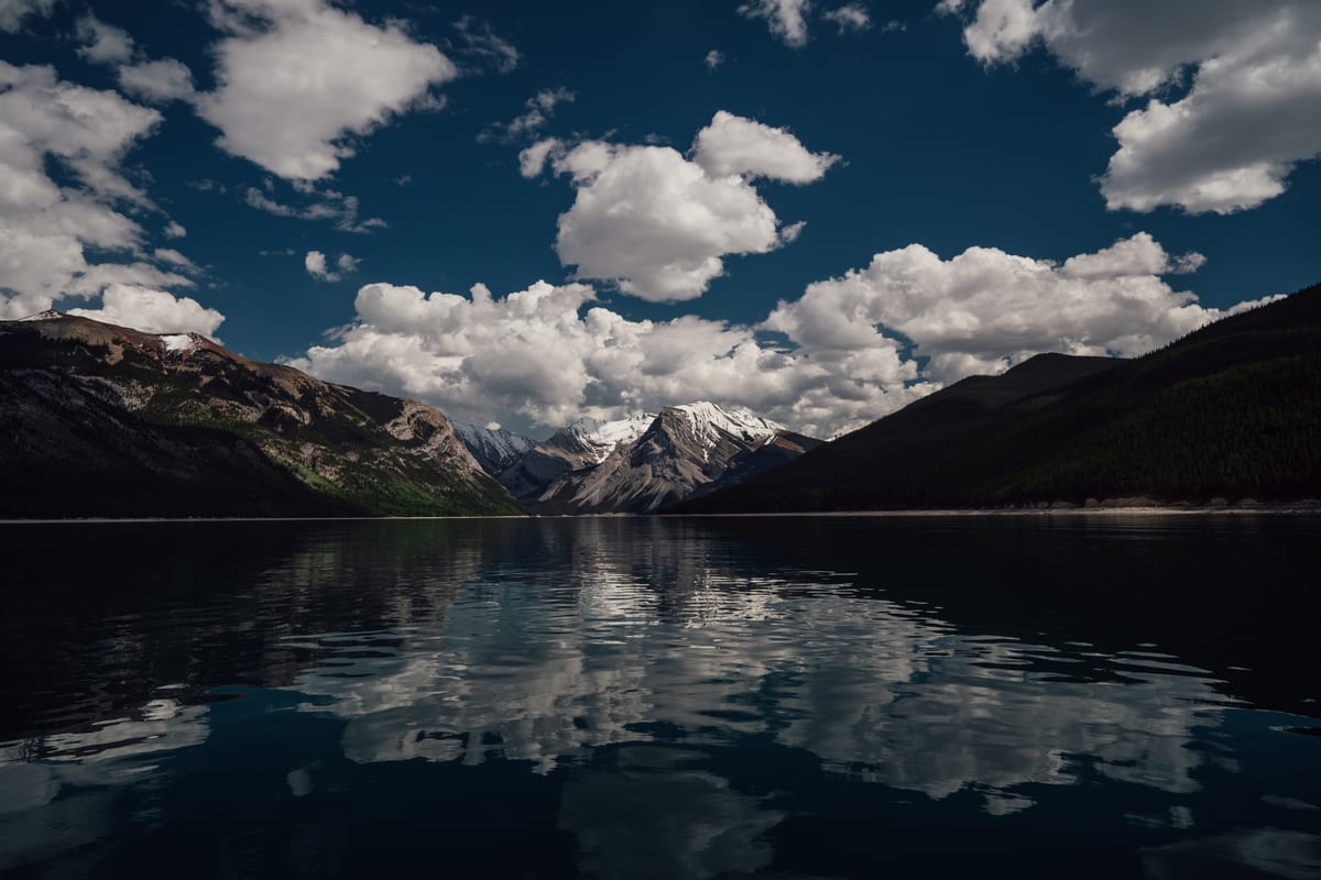 Untitled photograph