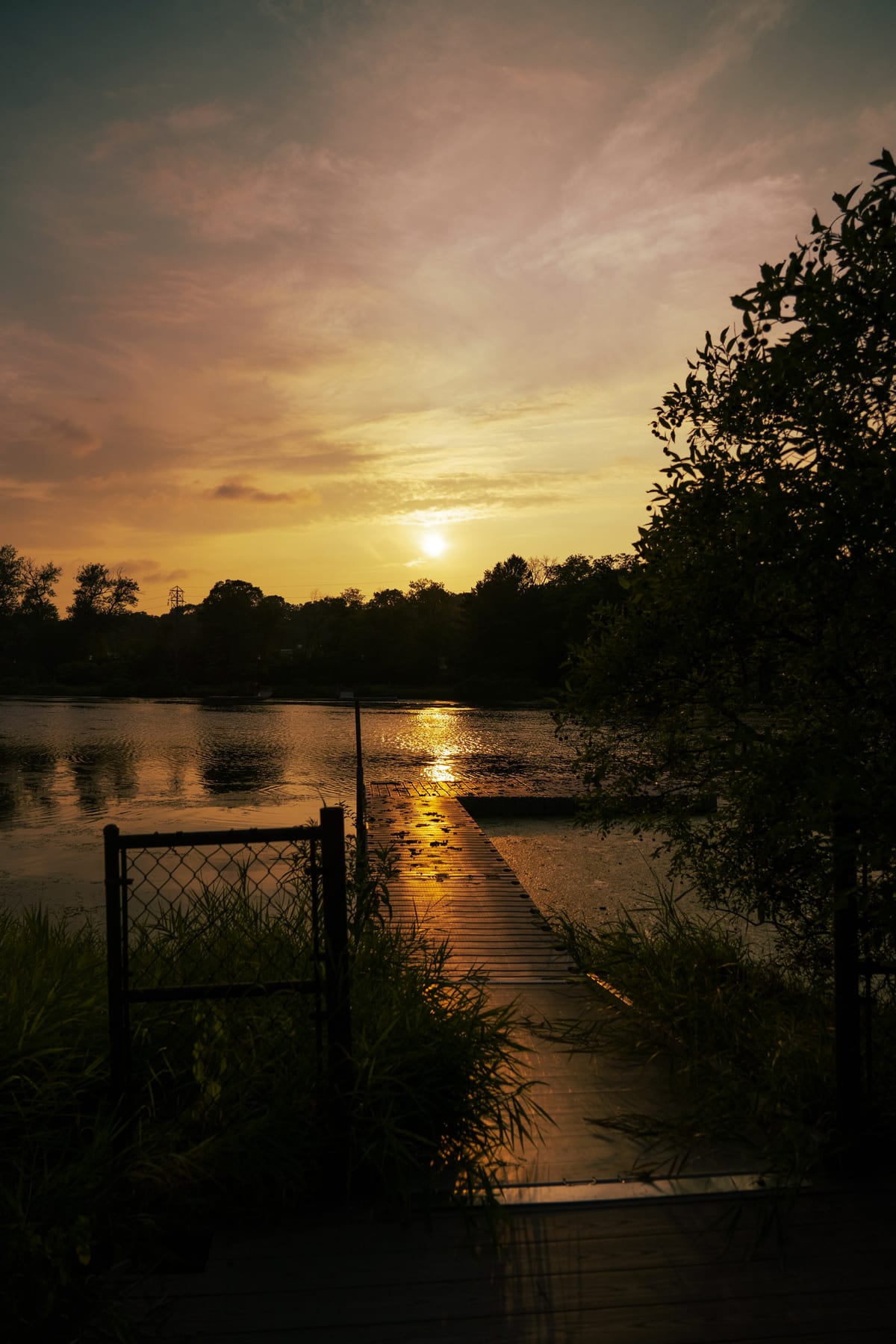 Untitled photograph