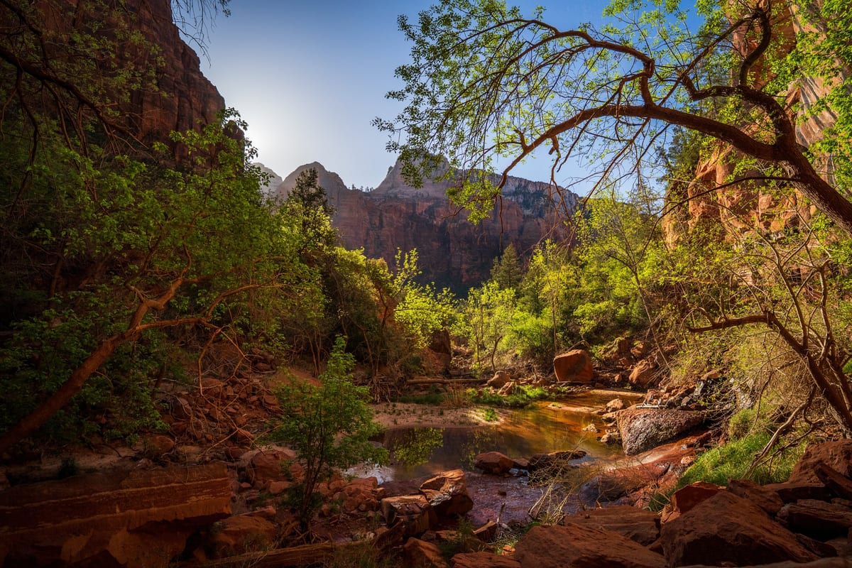 Zion Lower Emerald Pool