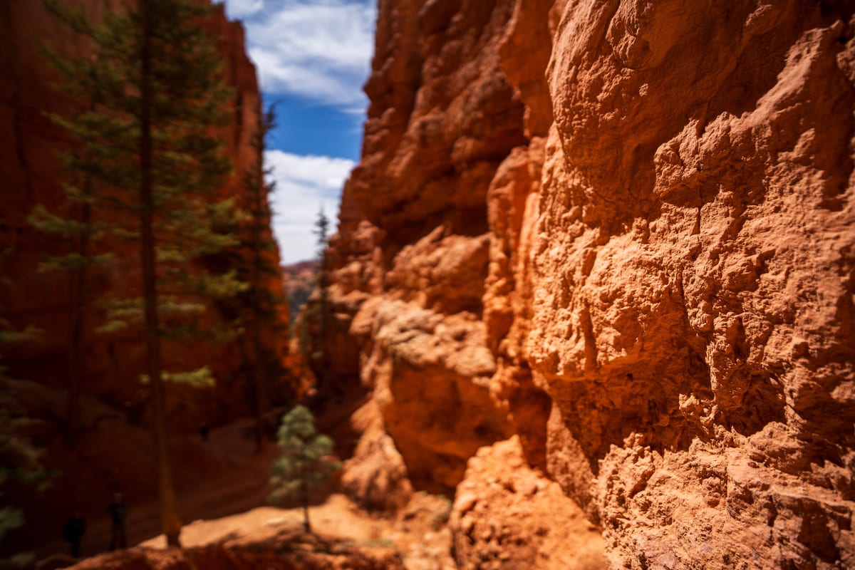 The Walls of Bryce