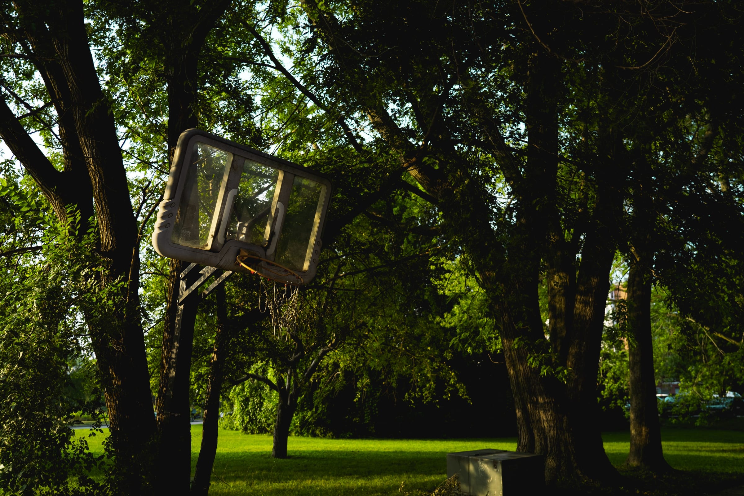 Untitled photograph