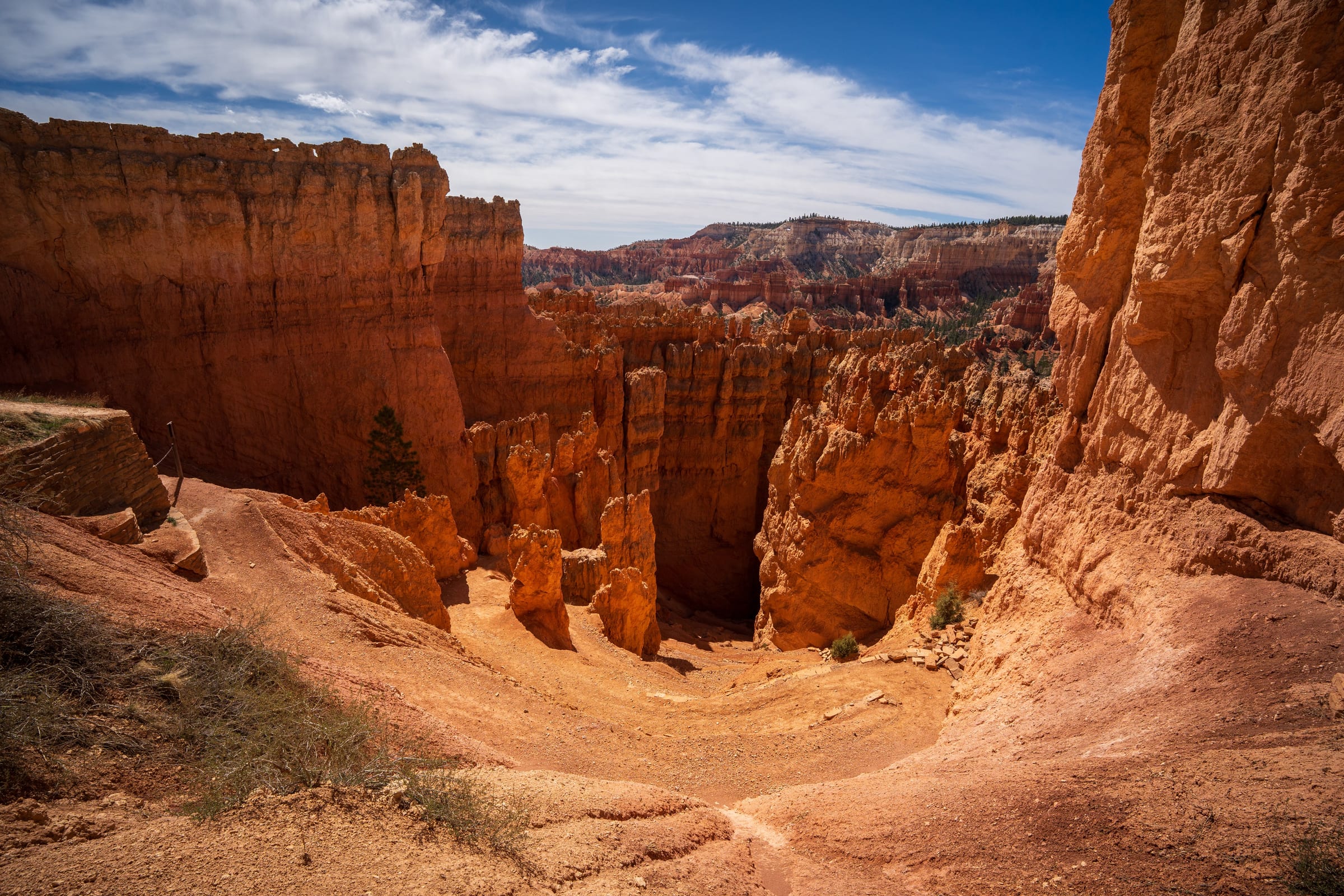 Winding Trail through Bryce Canyon