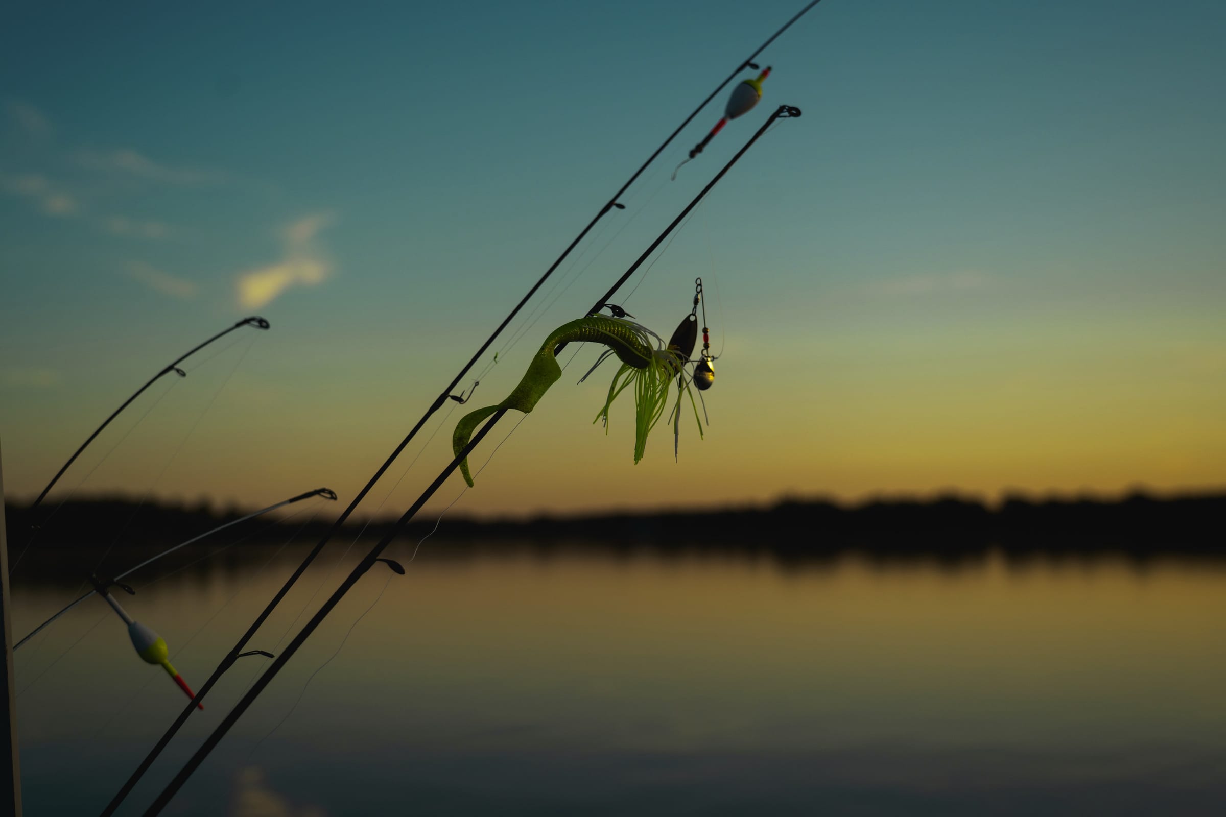 Untitled photograph